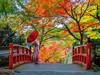Po stopách dávných civilizací - Čína a Japonsko #4